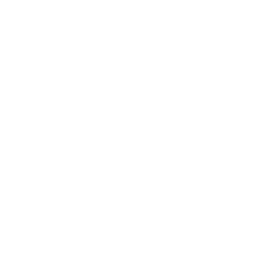 Logo Apple - MIDE Support